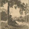 Un homme assis au pied d'un arbre, tourné vers la droite