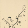 Un petit oiseau sur une branche