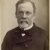 Louis Pasteur