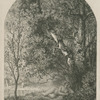 [La poésie dans les bois.]