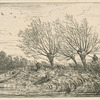 Paysage : saules.