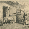 Femme faisant rentrer des porcs dans une porcherie (copy).