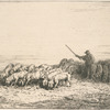 Troupeau de porcs.
