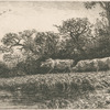 Paysage, soir.