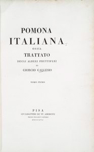 Index