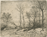 Paysage, hiver.