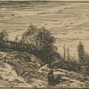[Le buisson : paysage.]