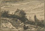 [Le buisson : paysage.]