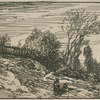 [Le buisson : paysage.]