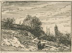 [Le buisson : paysage.]