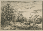Paysage, hiver.