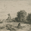 Saules, paysage.