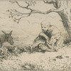 Paysage : un anier.