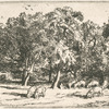 Paysage : animaux.