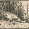 Paysage : troupeau de vaches.