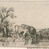 [Une femme et deux vaches.]