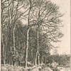 Paysage, hiver : lisière de forêt.