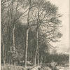 Paysage, hiver : lisière de forêt.