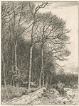 Paysage, hiver : lisière de forêt.