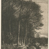 Paysage, hiver : lisière de forêt.