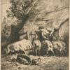 Une femme donnant à manger à des porcs.