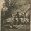 [Une femme donnant à manger à des porcs.]