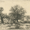 Paysage, hiver.