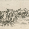Troupeau de vaches.