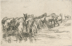 Troupeau de vaches.