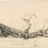Arbre renversé.