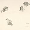 Poissons.