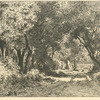 Dessous de bois, Noisy.
