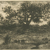 Paysage : un étang.