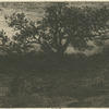 Paysage : un étang.