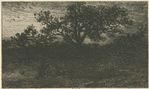 Paysage : un étang.
