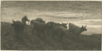 Troupeau de vaches.