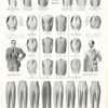 Styles for backs, vests and trousers.