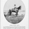 General Rawlin's mount.