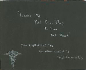 Under the Red Cross flag at home and abroad