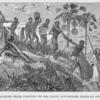 Slave traders marching their captives to the coast.  Butchering disabled ones along the way
