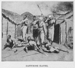 Capturing slaves