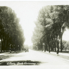 Liberty Park driveway.