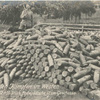 Bei den Kämpfen im Westen erbeutete 12000 Stück französische 12 cm Geschosse.