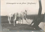 Stimmungsbild von der Aisne (Nordfrankr.).