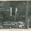 John Burroughs, the venerable and beloved dean of American naturalists, ... loves best his tramps in the Catskills and the quiet solitude of his 'Slabsides'.