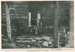John Burroughs, the venerable and beloved dean of American naturalists, ... loves best his tramps in the Catskills and the quiet solitude of his 'Slabsides'.
