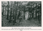 The woods road leading to Slabsides. [from 'Natural History, Sept. - Oct. 1931, pg. 504].