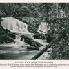 Falls on Black Creek near Slabsides. Near this point Walt Whitman, when visiting John Burroughs, sat on a fallen log and wrote a description of the region which was later printed in Specimen Dss.