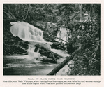 Falls on Black Creek near Slabsides. Near this point Walt Whitman, when visiting John Burroughs, sat on a fallen log and wrote a description of the region which was later printed in Specimen Dss.
