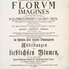 Hortvs, nitidissimis omnem per annvm svperbiens floribv s : sive, Amoenissimorvm florvm imagines ... [Title page, V. 3]